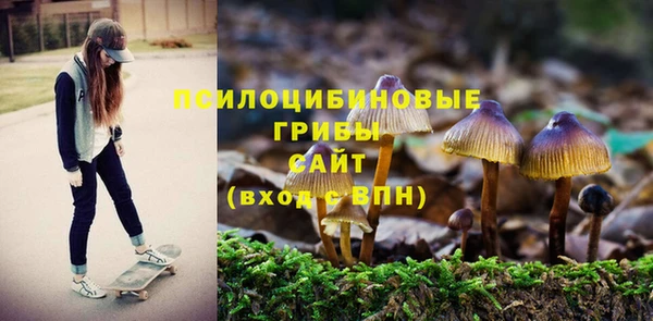 круглые Алзамай
