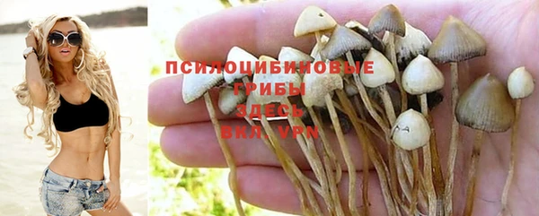 бошки Армянск