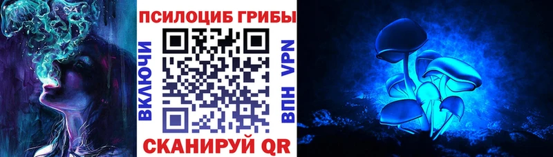 Псилоцибиновые грибы мицелий  что такое   Прокопьевск 