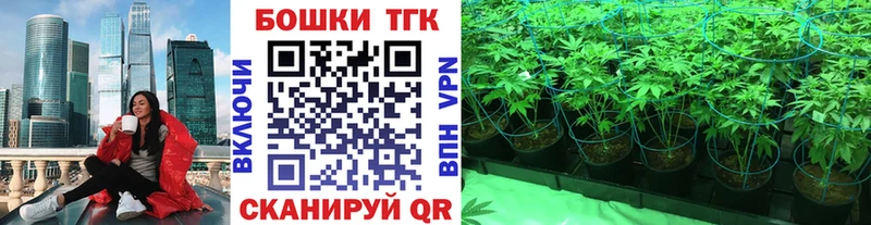 закладка  Прокопьевск  ОМГ ОМГ как войти  Канабис конопля 